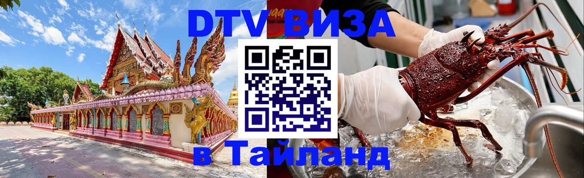 Оформление DTV визы под ключ: стоимость и тарифы, только загранпаспорт - 19.11.2025 